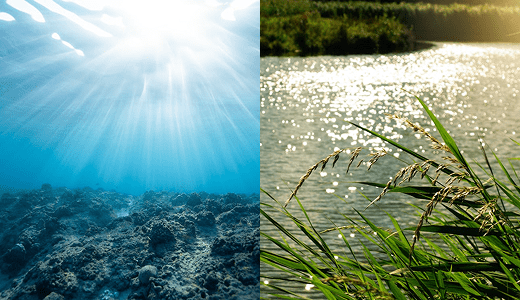 Blog 1 - Imagen 2