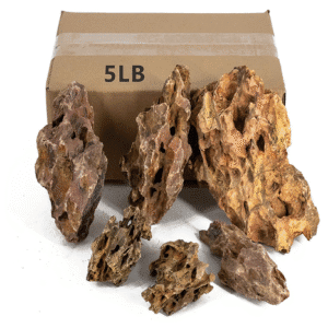 ChaoLeHo Dragon Stone (5 lb, 2–6 inch)