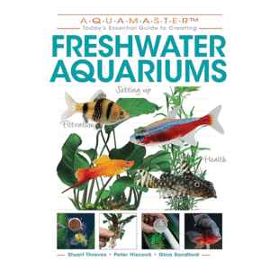 Freshwater Aquariums: The Beginner’s Guide – CompanionHouse
