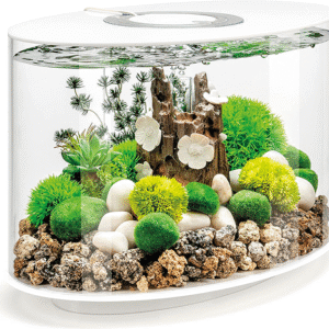 biOrb LIFE 15 (4-Gallon)